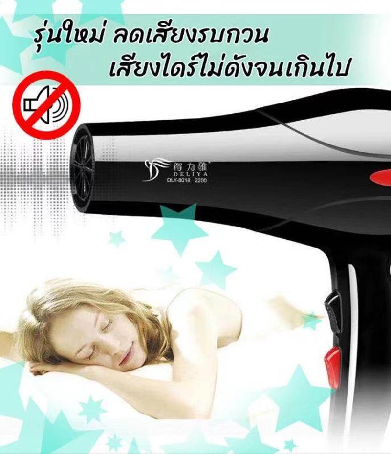 DLY-8018 Hair Dryer