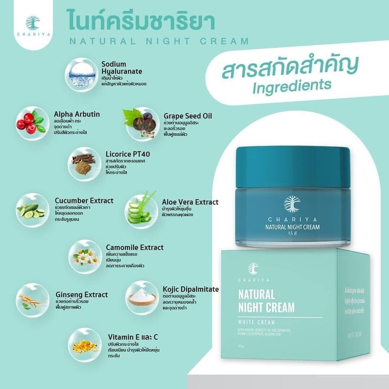 [ของแท้] ชาริยา ไนท์ครีม NIGHT CREAM 5g  10g  15g  20g ชาริยา สกินแคร์ (Chariya Skincare)