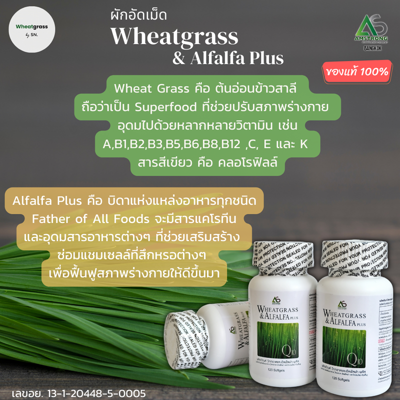 (1 กระปุก ส่งฟรี) ผักเม็ด Wheatgrass & Alfalfa Plus ผลิตภัณฑ์อาหารเสริมแอมสตรอง 🌾 วีทกราส อัลฟัลฟ่า พลัส ผักเม็ดแท้ สูตรดั้งเดิม superfood โปรตีนสูง