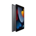 APPLE:iPad 10.2-inch Wi-Fi 2021 (9th Gen),Space Gray;64GB