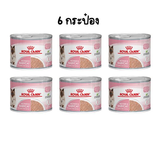 Royal Canin MOTHER & BABYCAT MOUSSE