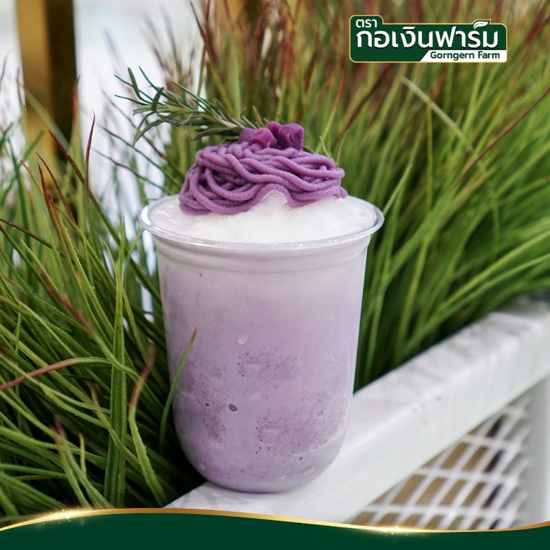 มันม่วงผง 100% (Purple sweet potato powder ) ตรากอเงินฟาร์ม ส่งตรงจากโรงงาน