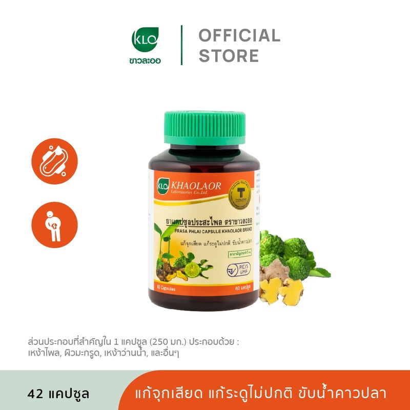 Khaolaor ขาวละออ ประสะไพล ชนิดแคปซูล ยาสามัญประจำบ้าน 60 แคปซูล/ขวด