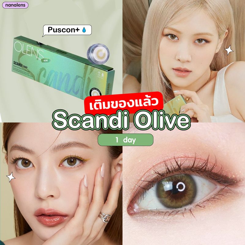 Olens รุ่น Scandi 1 Day สี Olive คอนแทคเลนส์รายวัน 5 คู่ nanalens