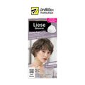 Liese Hair Color Foam