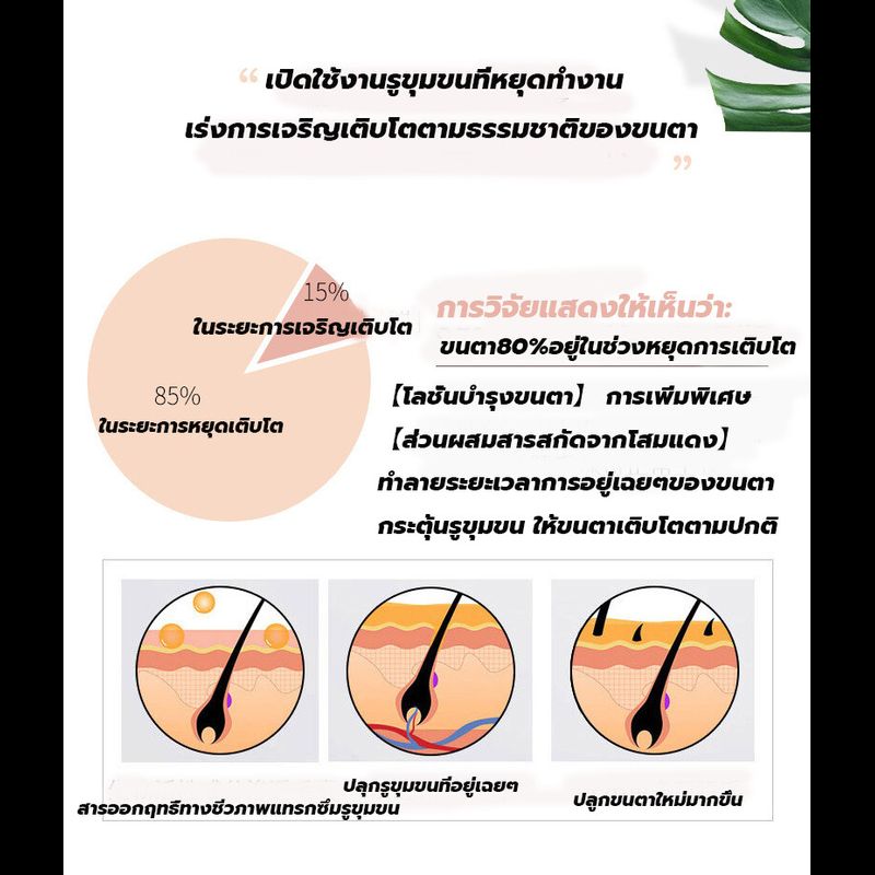 7วันก็จะได้ขนตาใหม่LANTHOME เซรั่มปลูกขนตา เซรั่มบำรุงขนตา มาสคาร่าบำรุงขนตาใหม่ เซรั่มขนตายาว มาสคาร่าขนตายาว เซรั่มเร่งขนตา เซรั่มขนตาคิ้ว มาสคาร่าใส เพิ่มขนตา น้ำยาเร่งขนตา บำรุงขนตายาว มาสคาร่าต่อขนตา เซรั่มปลูกคิ้ว มาสคาร่ายาว ลิฟติ้งขนตา）lash growth