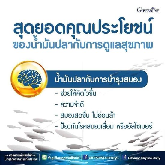 กิฟฟารีน น้ำมันปลา น้ำมันตับปลา  Fish Oil GIFFARINE บำรุงสมอง บำรุงข้อเข่า ลดการอักเสบ ทานได้ทุกวัย