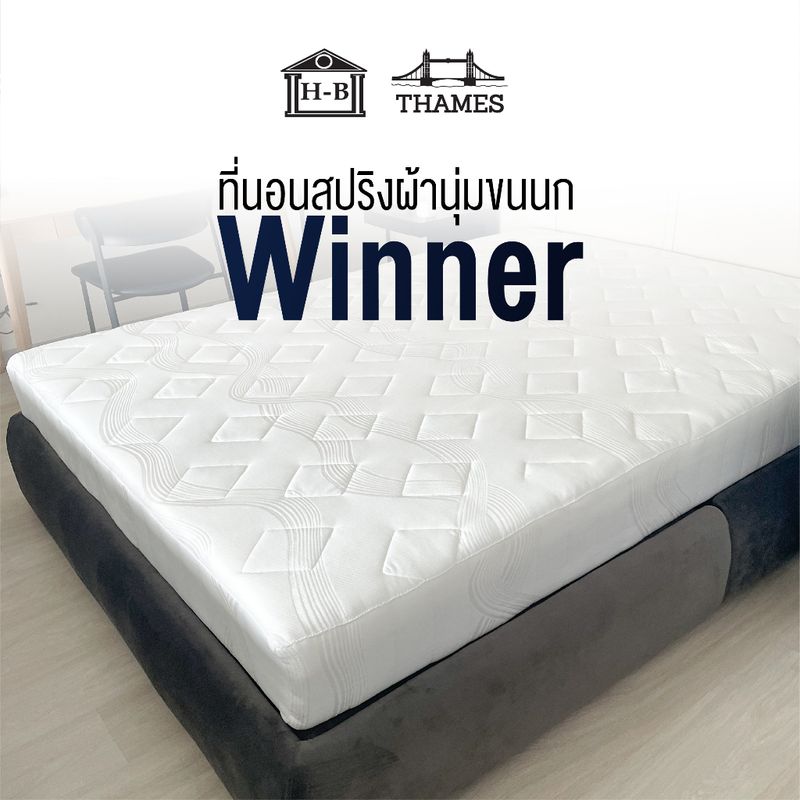 Home Best  รุ่น Winner สปริงหนา 2.2มม หุ้มผ้านุ่ม ที่นอนเกรดพรีเมี่ยม mattress