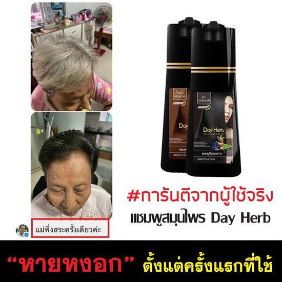 1 แถม 1 DayHerb แชมพูปิดผมขาว สมุนไพรแท้ 100% ปิดหงอก แก้ผมหงอก ใน 5 นาที