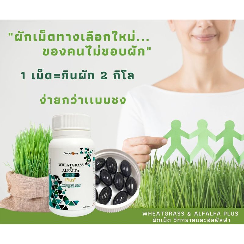 ผักเม็ดเสริมภูมิ Wheatgrass & Alfalfa Extract Plus Q10