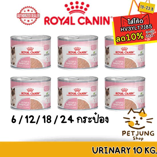 Royal Canin:MOTHER & BABYCAT MOUSSE,่6 กระป๋อง