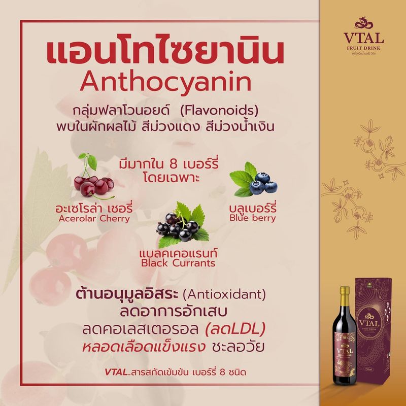 ของแท้ ส่งฟรี วีทัล VTAL 1แถม1 เครื่องดื่มน้ำสมุนไพรและผลไม้สกัดเข้มข้นเพื่อสุขภาพ ดูแลหลอดเลือด หัวใจ สุขภาพแบบองค์รวม รับประกัน by Kindeee