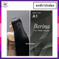 Berina A1-A47 Berina เบอริน่าสีย้อมผมอ่านที่รายละเอียด*กรุณาสั่งขั้นต่ำ2โหลเพื่อความปลอดภัยในการแพ็ค