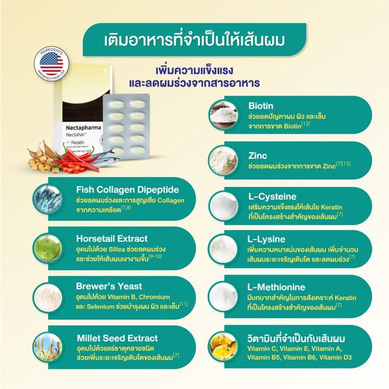 [ของแท้] Nectahair วิตามินจบปัญหาร่วง บาง ล้าน Pelatin Nectapharma เนคตาฟาร์มา บำรุงผม ผมร่วง ผมบาง ผมขึ้น zinc biotin